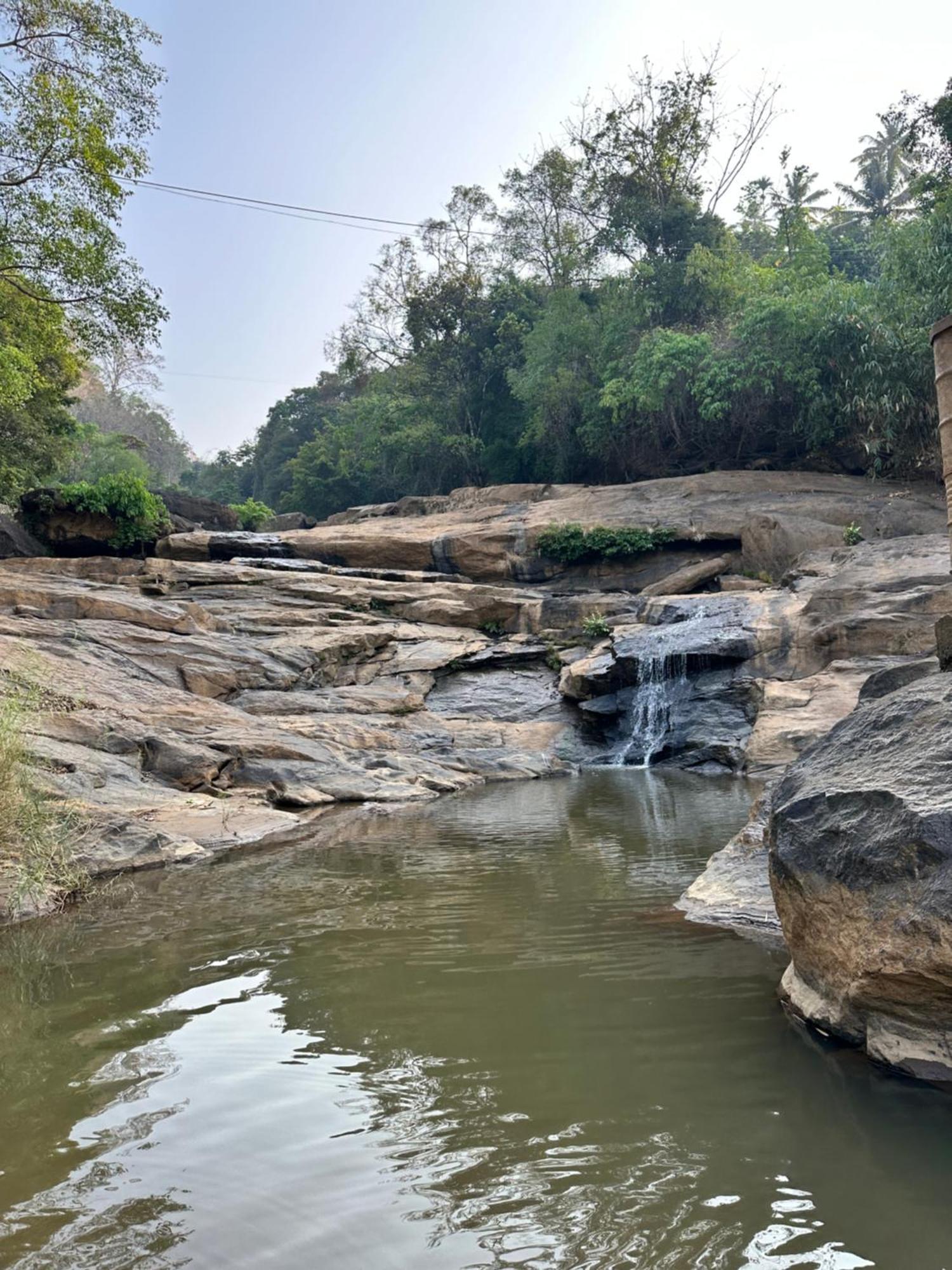 Thoppil Homestay Munnar Extérieur photo