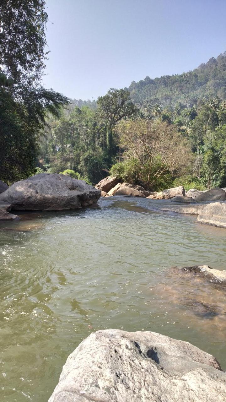 Thoppil Homestay Munnar Extérieur photo